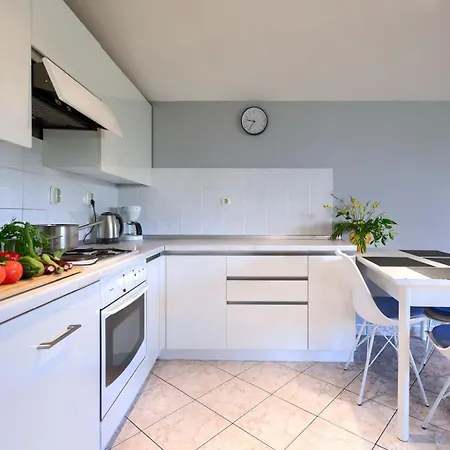 Baeutiful Simona With Garden In Villa *